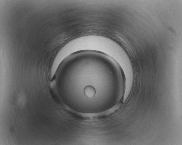 X0000116870125201001051452