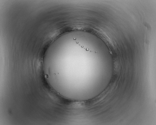 X0000116870126201001051452