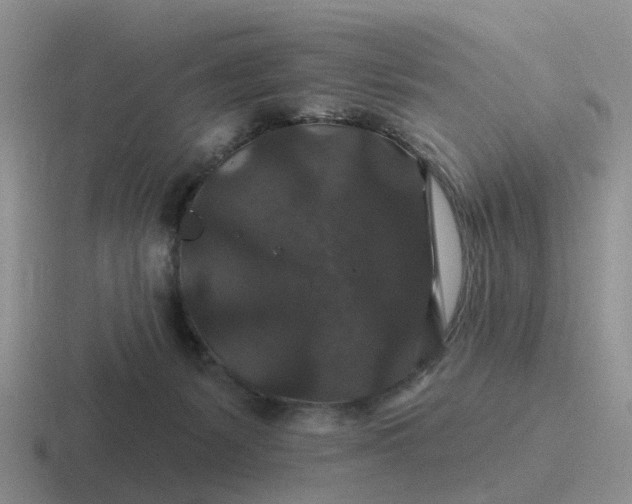 X0000116870127201001051452