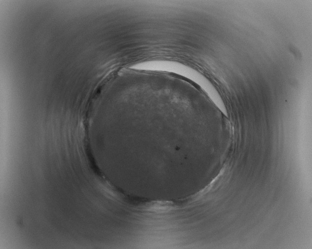 X0000116870128201001051452