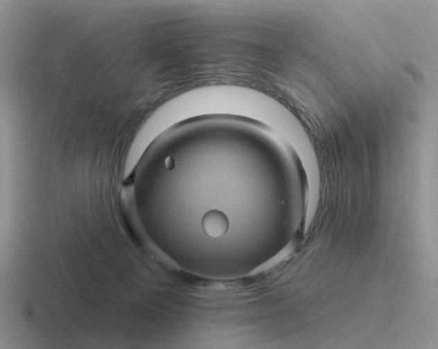 X0000116870129201001051452