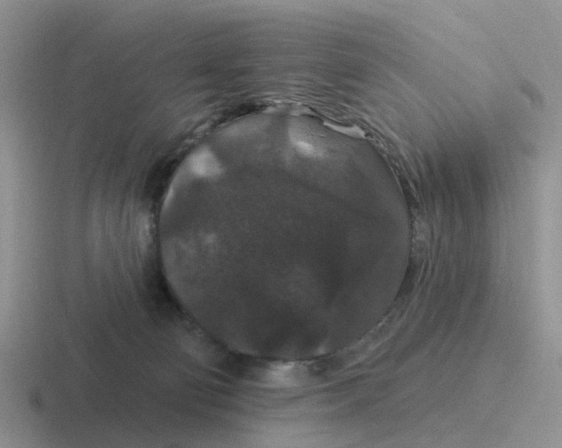 X0000116870130201001051452