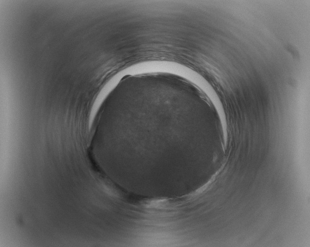 X0000116870132201001051452