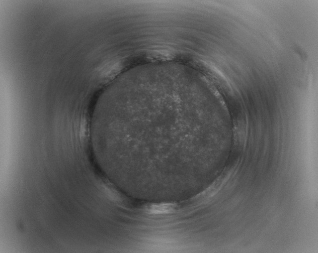 X0000116870134201001051452