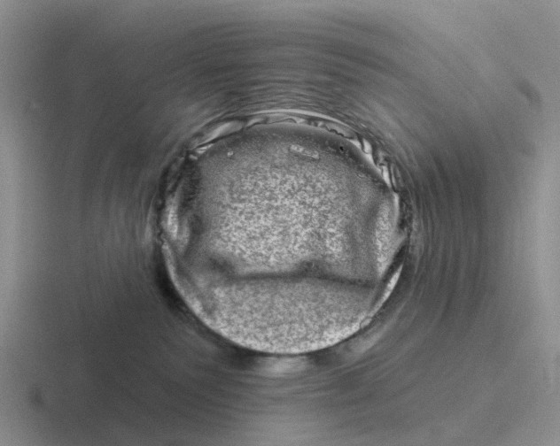 X0000116870135201001051452