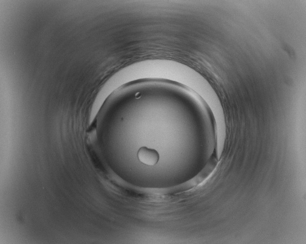 X0000116870136201001051452