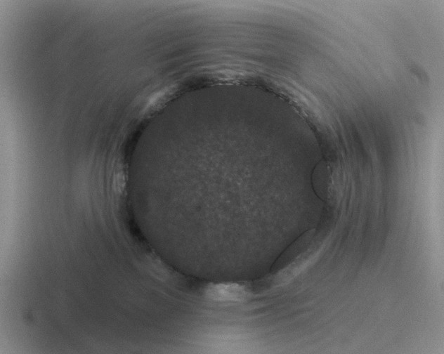 X0000116870137201001051452