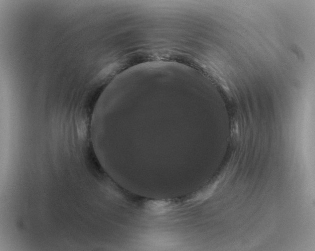 X0000116870139201001051452