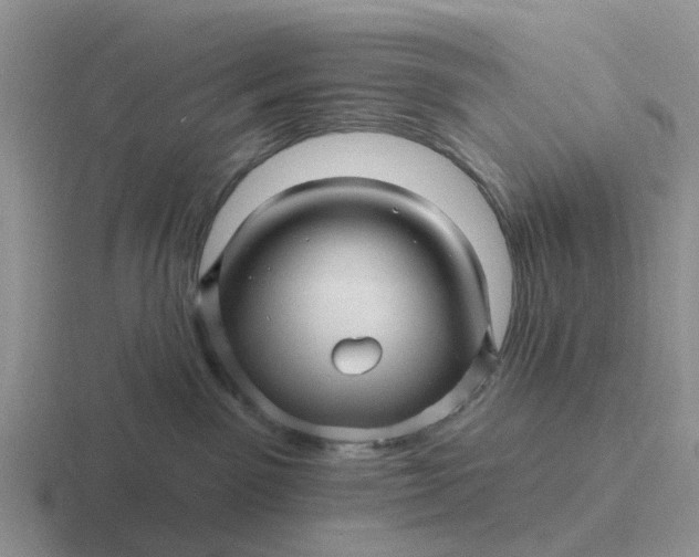 X0000116870141201001051452