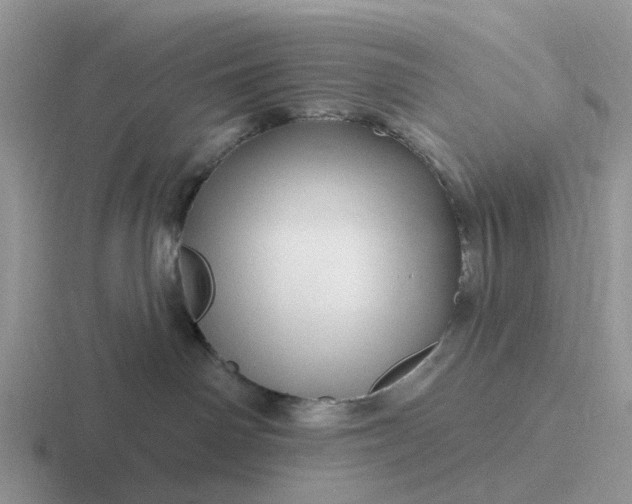 X0000116870142201001051452