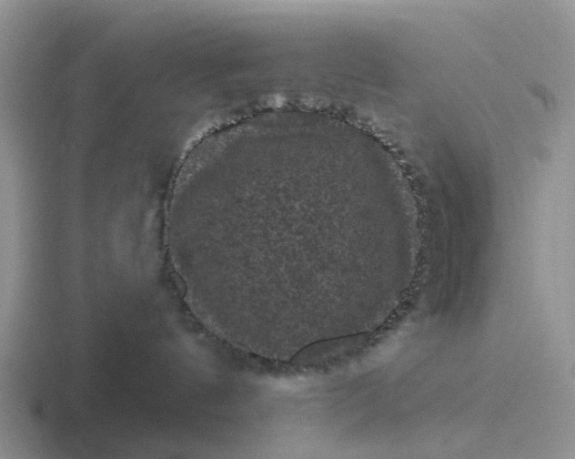 X0000116870144201001051452