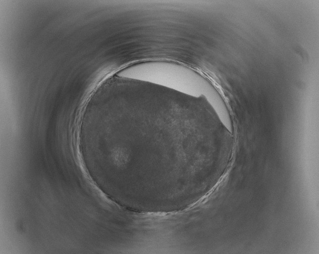 X0000116870145201001051451