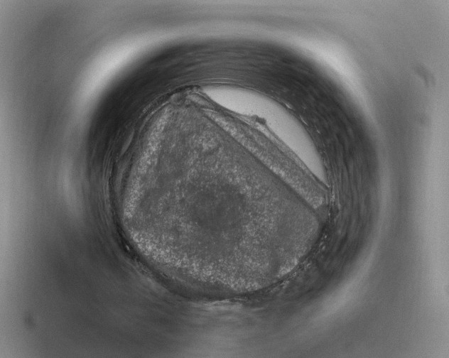 X0000116870146201001051451