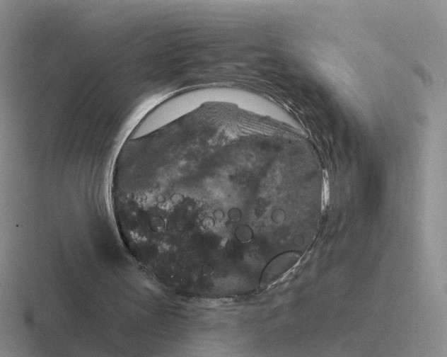 X0000116870147201001051451