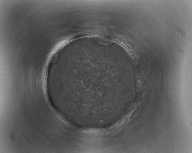 X0000116870149201001051451