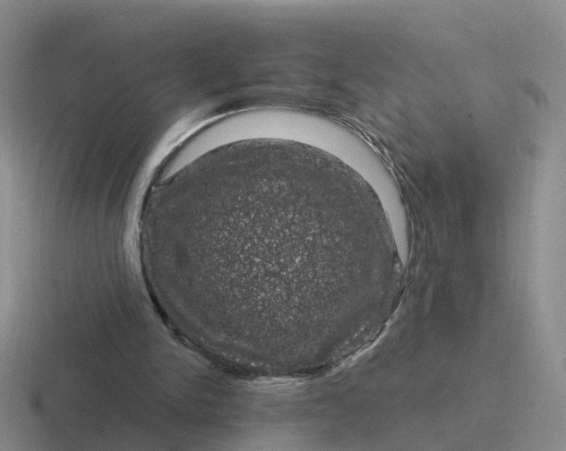 X0000116870150201001051451