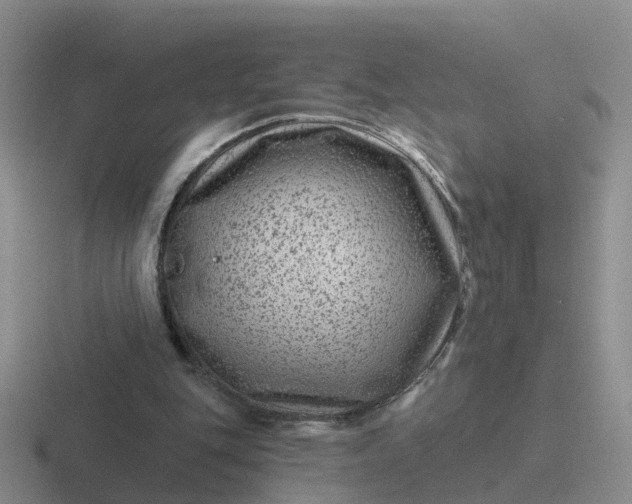 X0000116870151201001051451