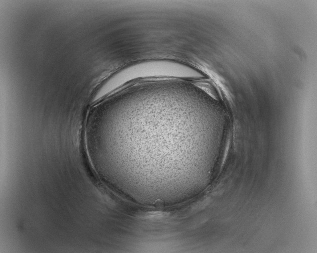 X0000116870153201001051451