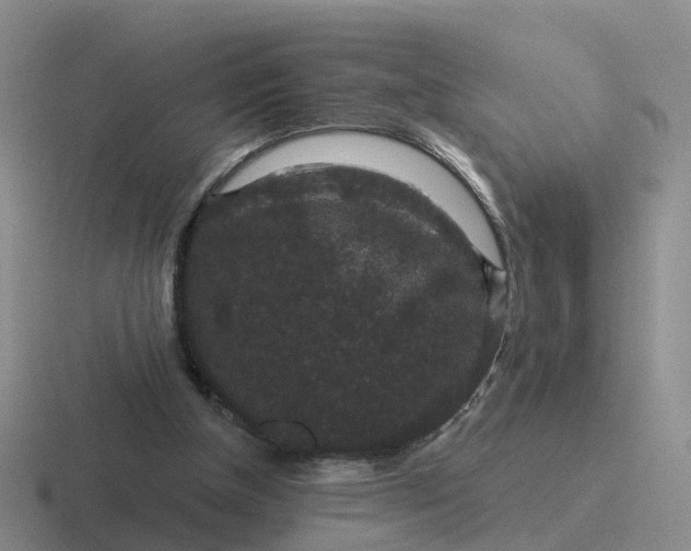 X0000116870154201001051451