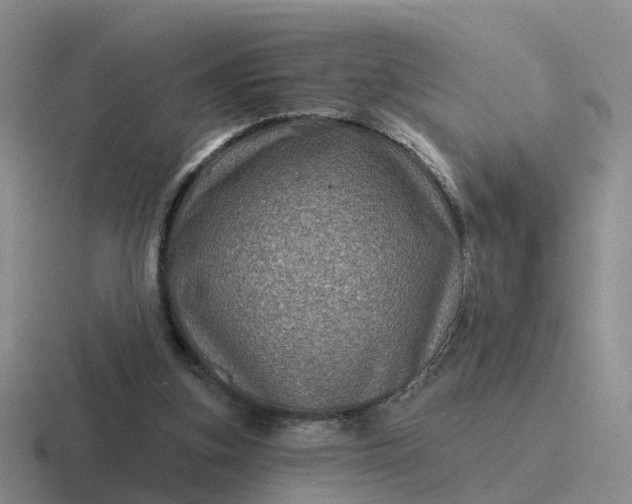 X0000116870155201001051451