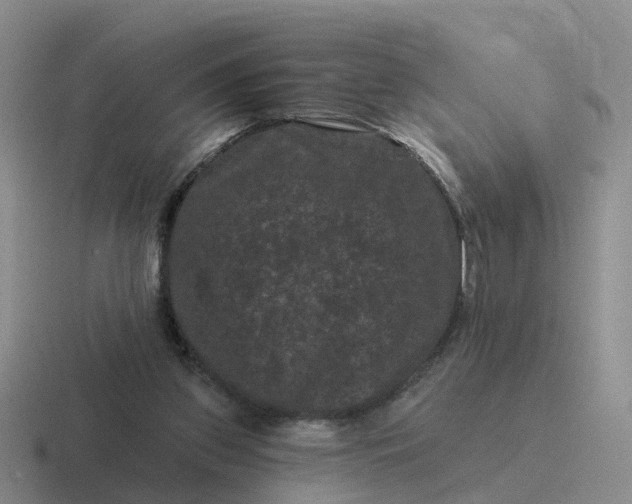 X0000116870157201001051451