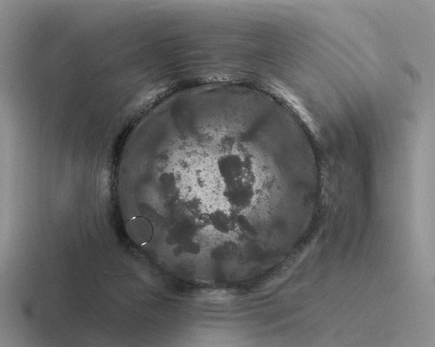 X0000116870161201001051451