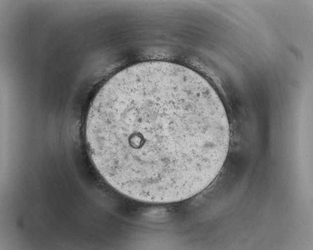 X0000116870162201001051451