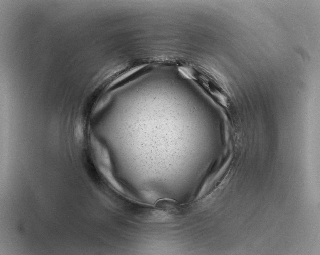 X0000116870166201001051451