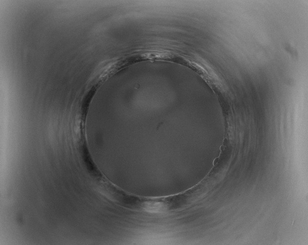 X0000116870169201001051451