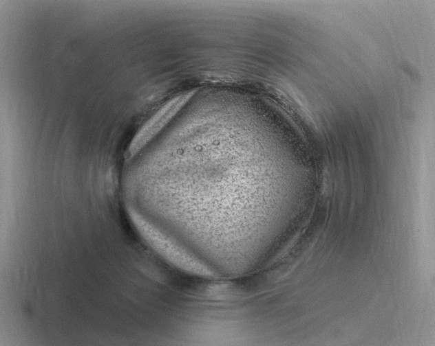 X0000116870173201001051451