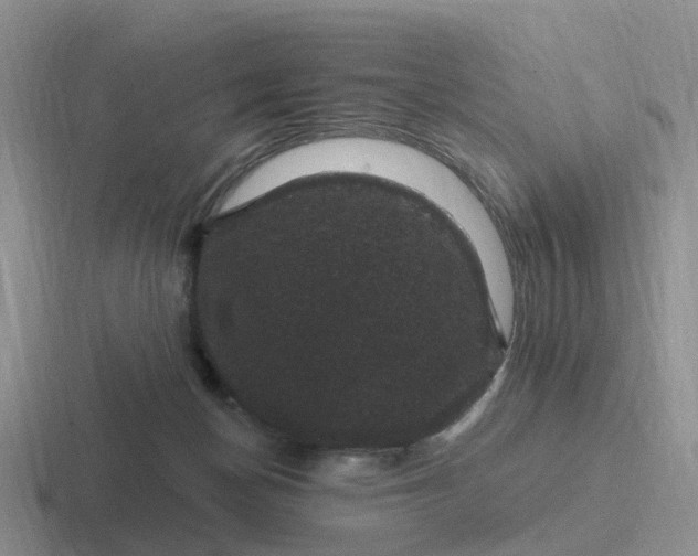 X0000116870174201001051451