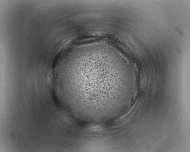 X0000116870175201001051451