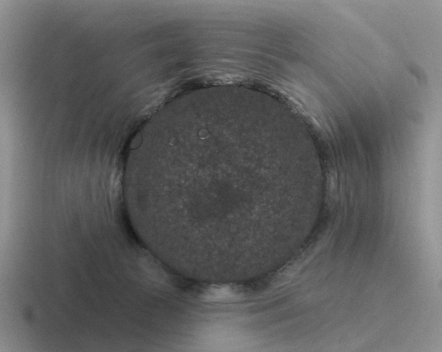 X0000116870177201001051451