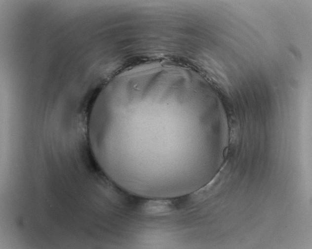 X0000116870179201001051451