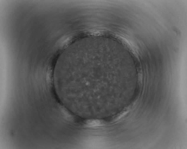 X0000116870181201001051451