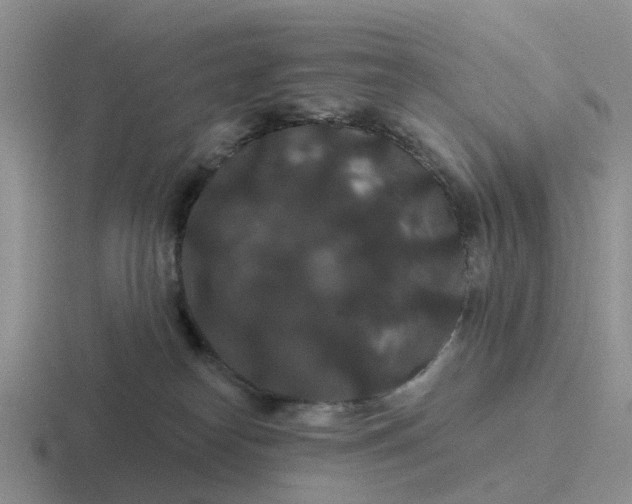 X0000116870182201001051451