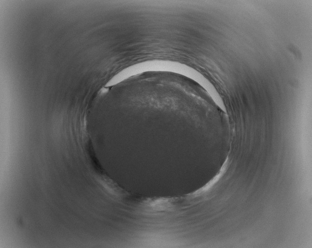 X0000116870186201001051451