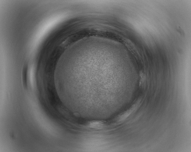 X0000116870189201001051452