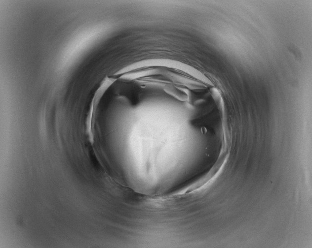 X0000116870190201001051452