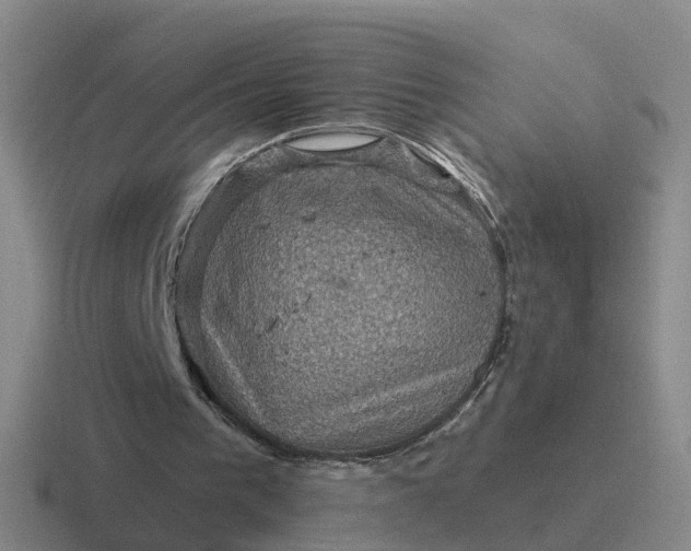 X0000116870193201001051451