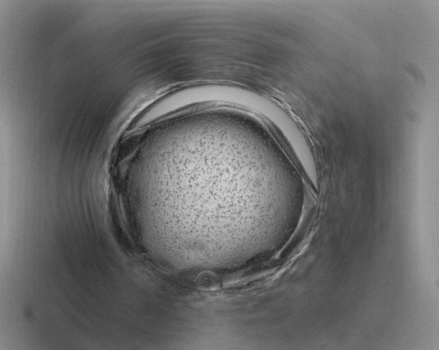 X0000116870194201001051451