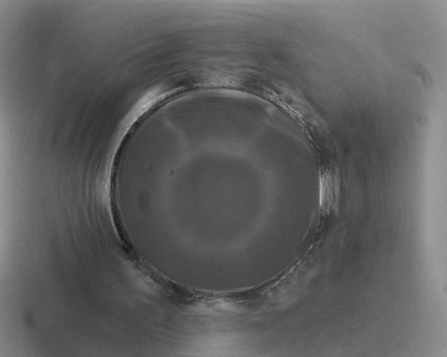 X0000116870195201001051451