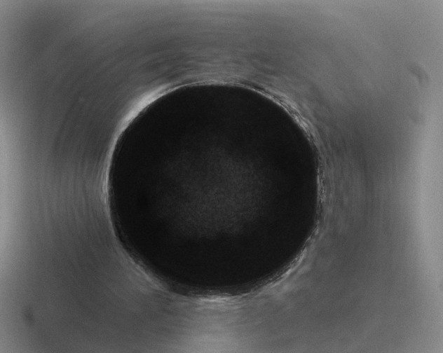 X0000116870196201001051451