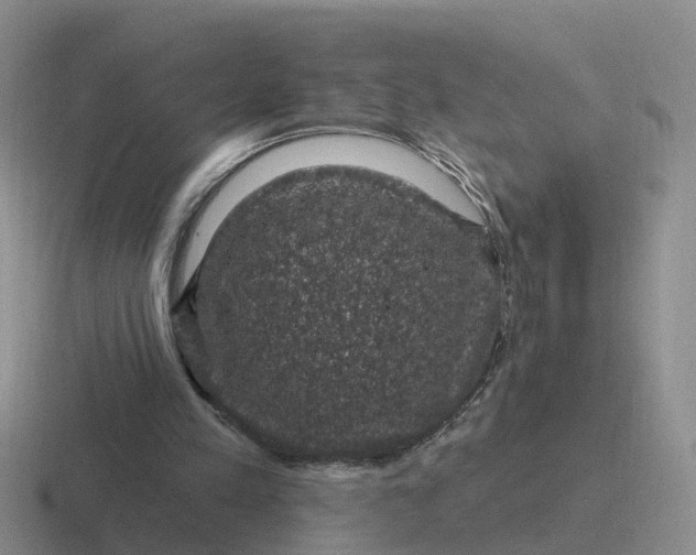 X0000116870197201001051451