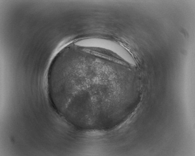 X0000116870198201001051451