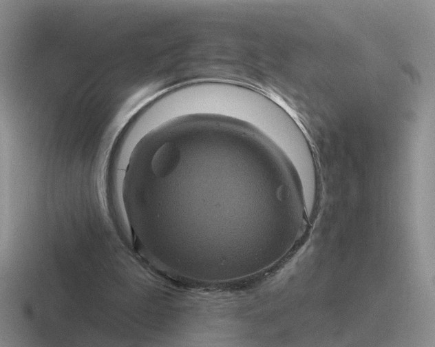 X0000116870199201001051451