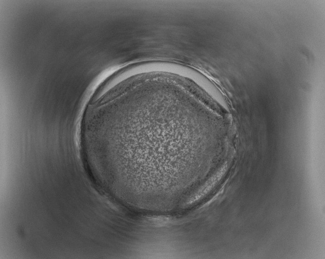 X0000116870200201001051451