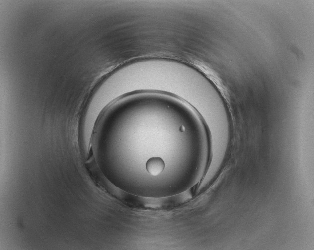 X0000116870201201001051451