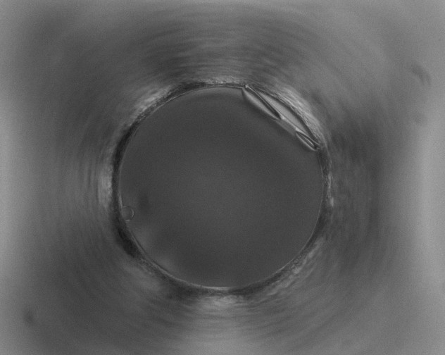 X0000116870202201001051451