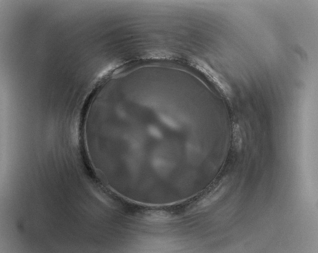 X0000116870203201001051451